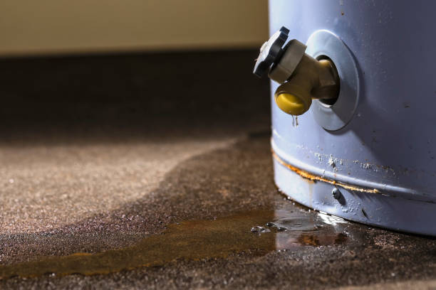 Trusted Georgetown, CO Water damage restoration Experts