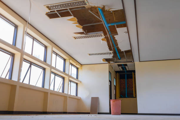 Best Residential water damage restoration  in Georgetown, CO