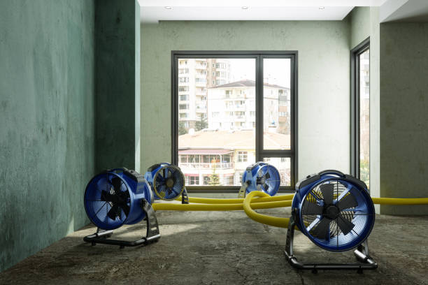 Best Emergency water damage restoration  in Georgetown, CO
